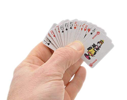 Schenkfix Mini Spielkarten  Gesellschaftsspiele Test 2023 / 2024