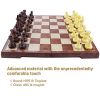  Fixget 2 in 1 Schachspiel Magnetisch