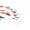 TS Spielkarten Skat Kartenspiel