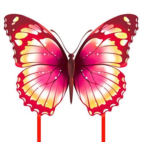  Mint's Colorful Life Schmetterling Drachen
