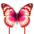 Mint's Colorful Life Schmetterling Drachen