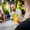  KAMPFHUMMEL Kampf gegen das Spiessertum - das fiese deutsche Kartenspiel